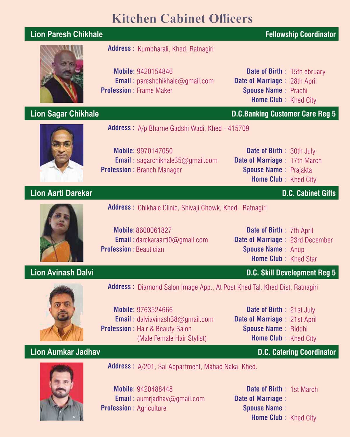 Kitchen Cabinet Officers