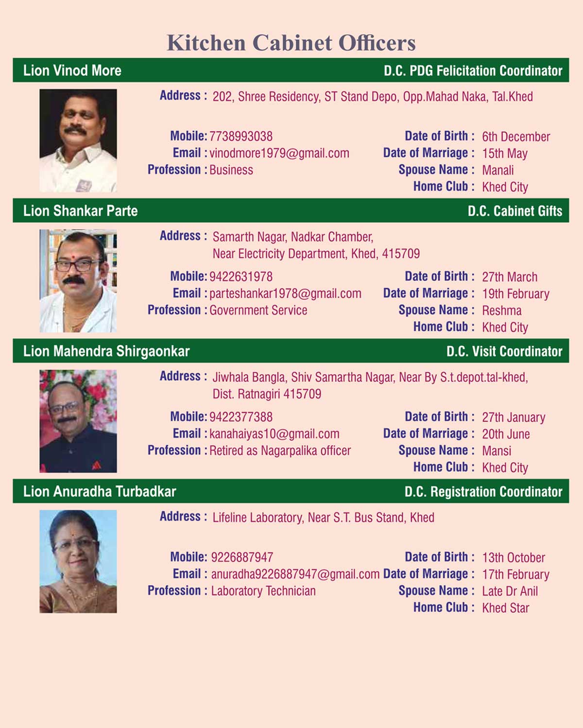 Kitchen Cabinet Officers